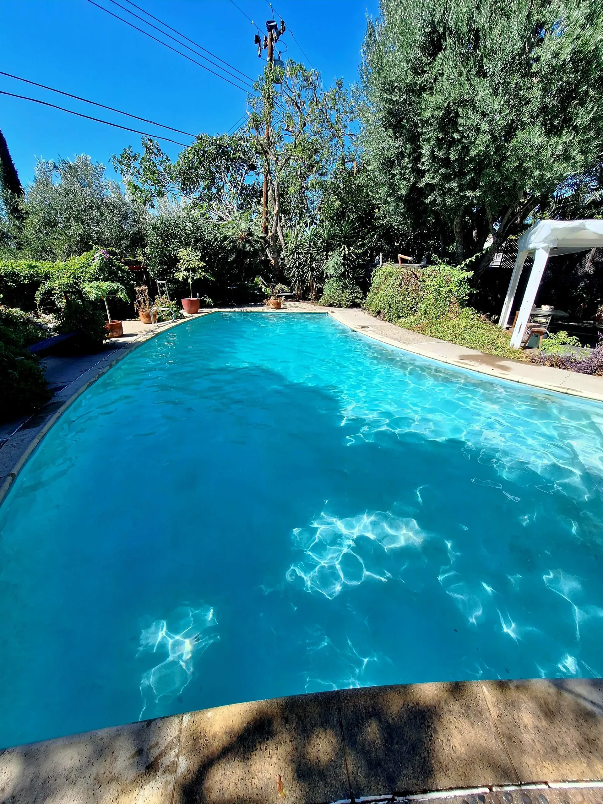 A clean turquoise pool overview in a backyard with a pergola and garden