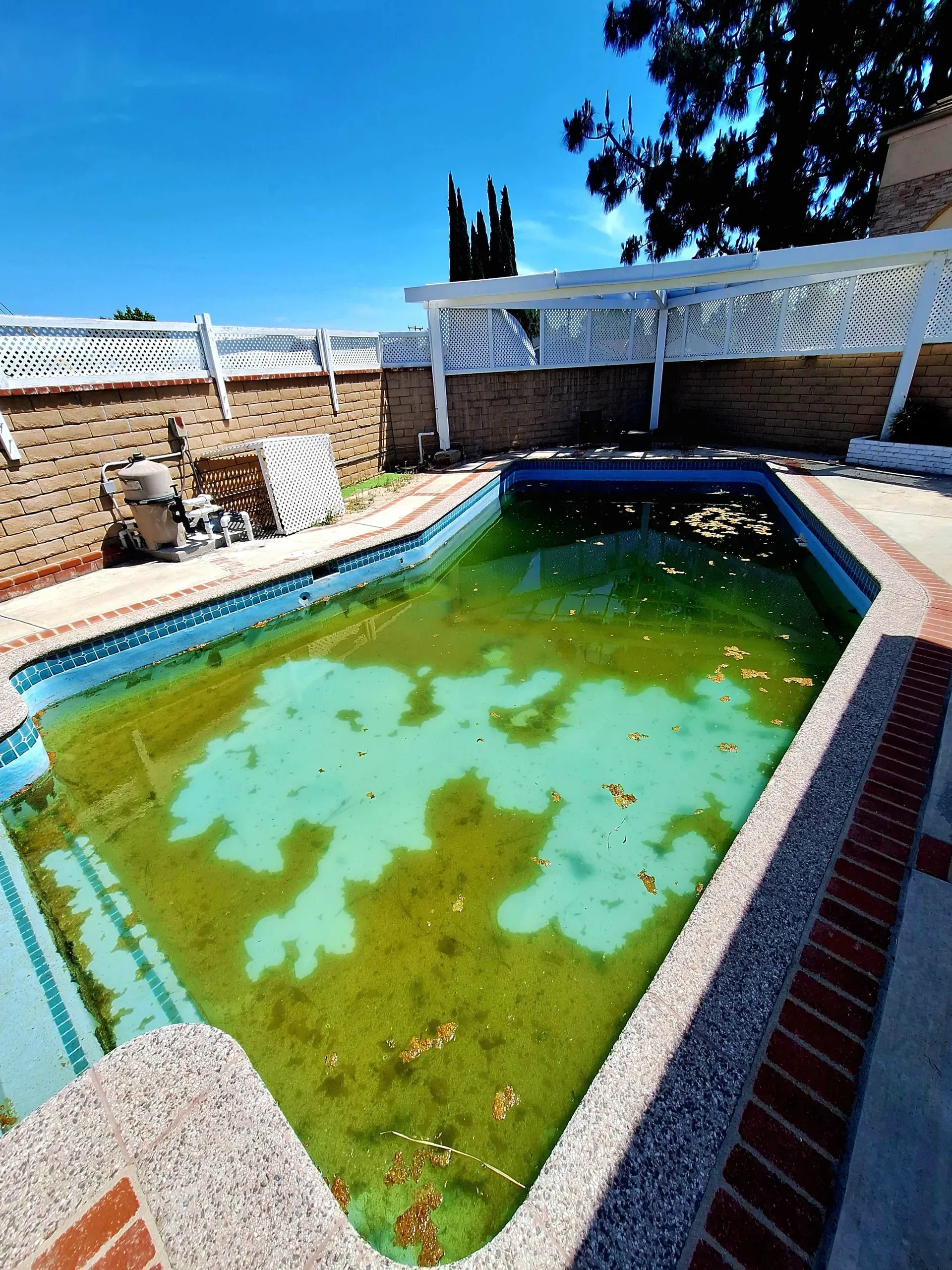 A dark green algae-filled pool with a white pergola and equipment pad behind it